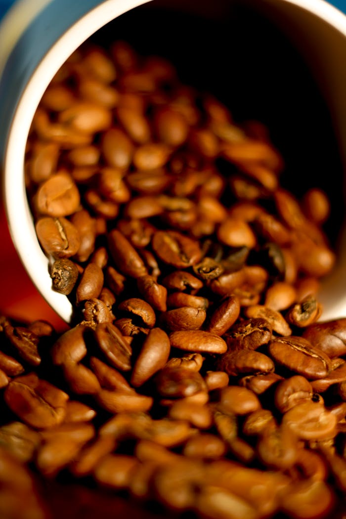 Close-up of aromatic coffee beans spilling from a white mug, highlighting texture and aroma.